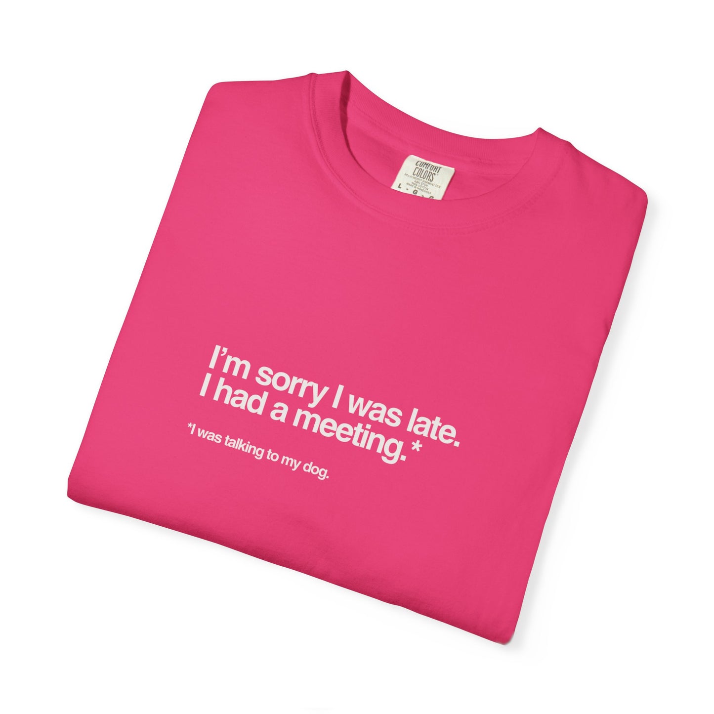Chic Casual Unisex T-Shirt, Soft Cotton Tee, Garment-Dyed Unique Style, Everyday Wear, Perfect for Gifts, Summer Casuals