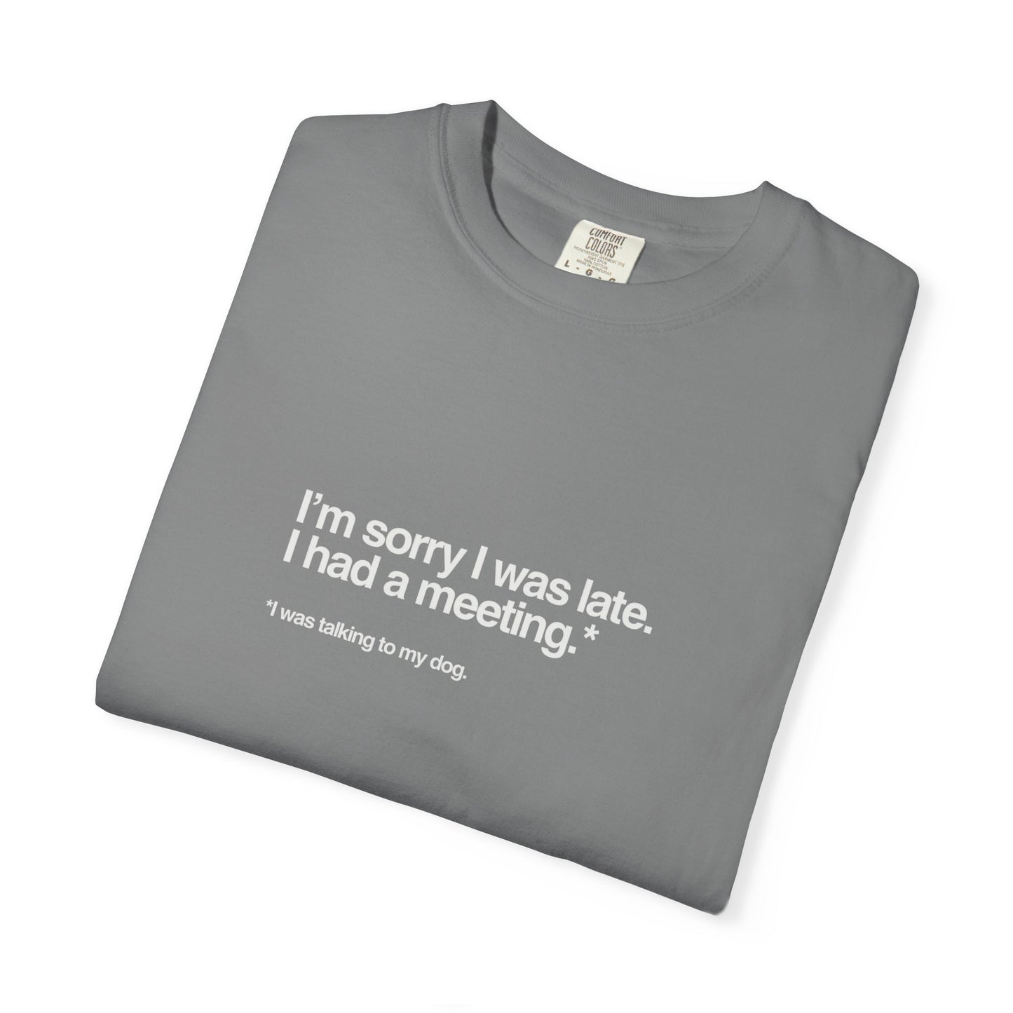 Chic Casual Unisex T-Shirt, Soft Cotton Tee, Garment-Dyed Unique Style, Everyday Wear, Perfect for Gifts, Summer Casuals