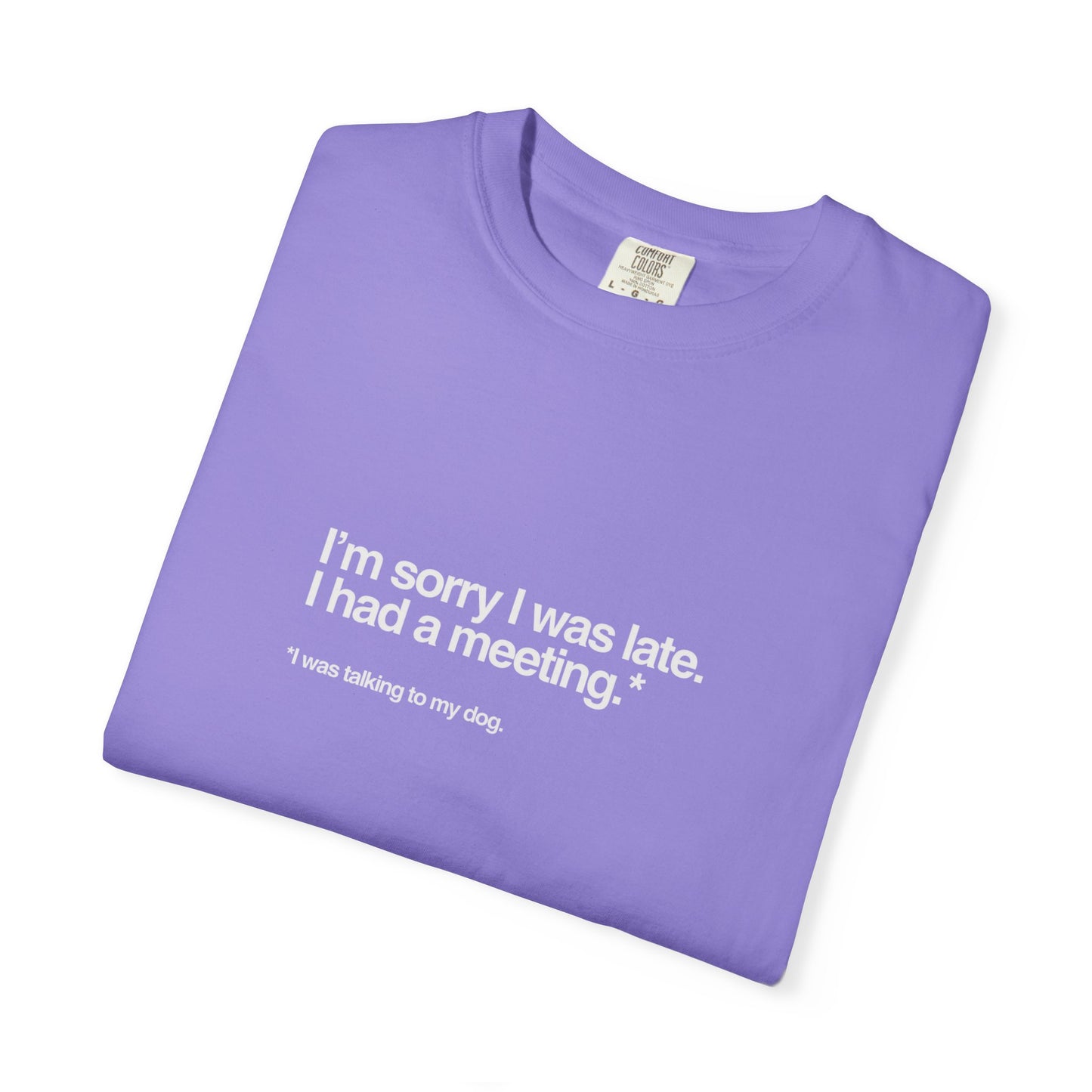 Chic Casual Unisex T-Shirt, Soft Cotton Tee, Garment-Dyed Unique Style, Everyday Wear, Perfect for Gifts, Summer Casuals