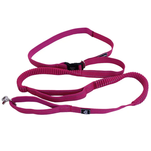 TD Cascades Plum Boysenberry Stretchable Dog Leash for Active Pets