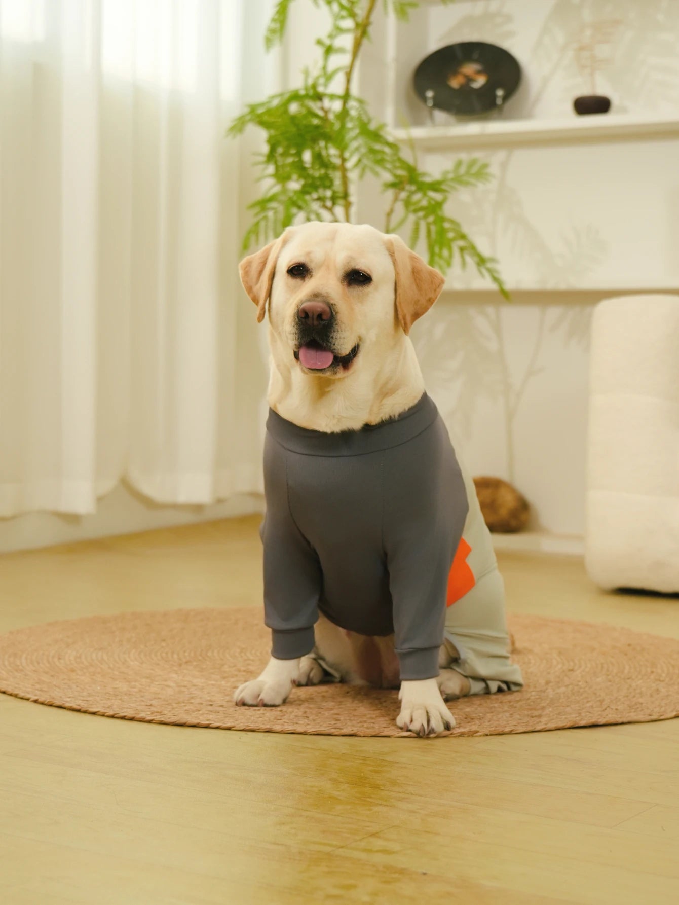 Dog Pajamas Extra-Large Elasticity Long Sleeve Anti-Shedding Dog Onesie Post Surgery Recovery Dog Clothes for Pets