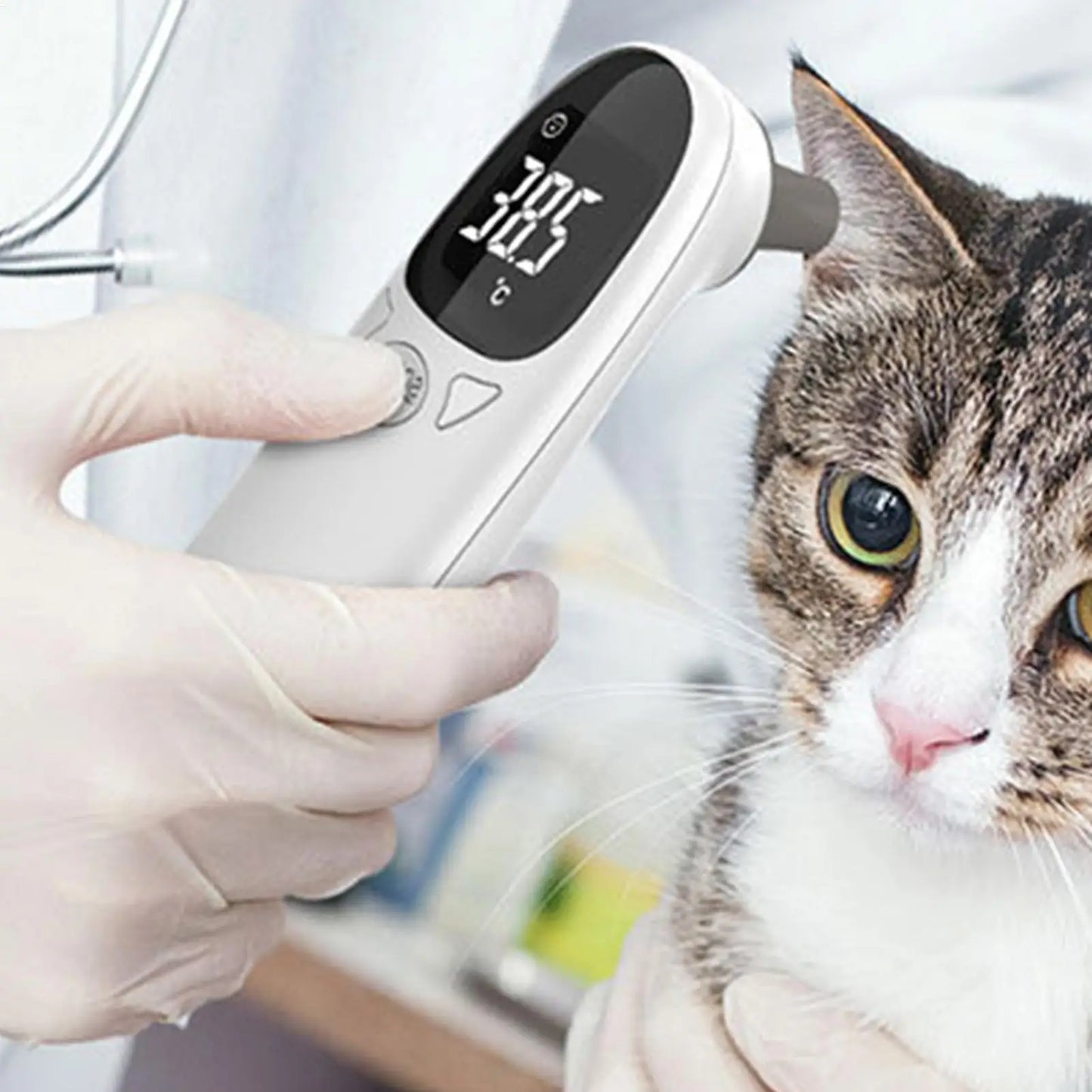 Waterproof Pet Thermometers Vet Tech Thermometers Puppy Thermometers Fever Detection Device For Pet High-Precision Accurate Led