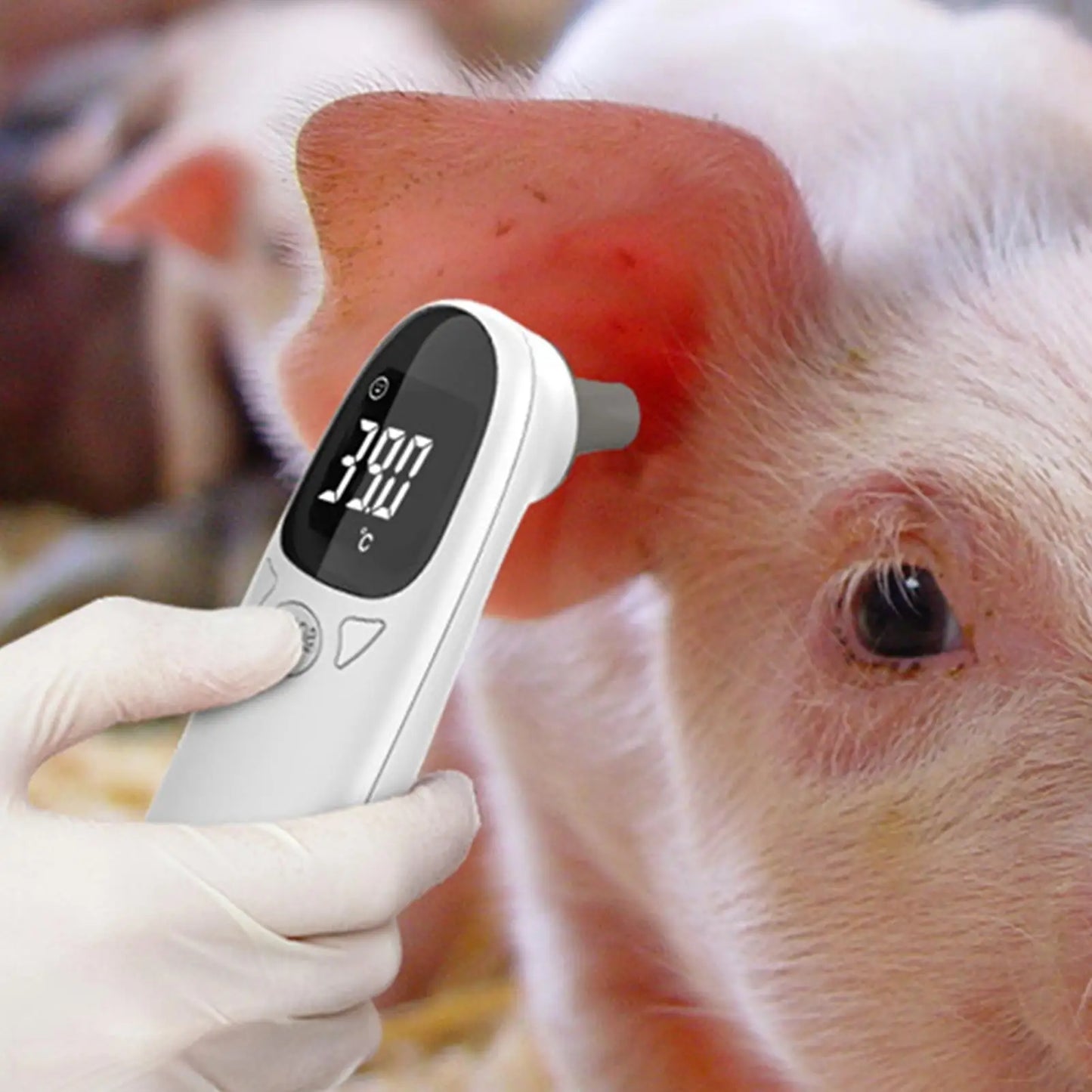 Waterproof Pet Thermometers Vet Tech Thermometers Puppy Thermometers Fever Detection Device For Pet High-Precision Accurate Led