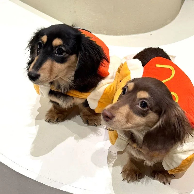 Festival Party Pet Clothes for Small Medium Dogs Cats Adjustable Cute Christmas Halloween Pets Gift Yorkshire Chihuahua Pug Coat