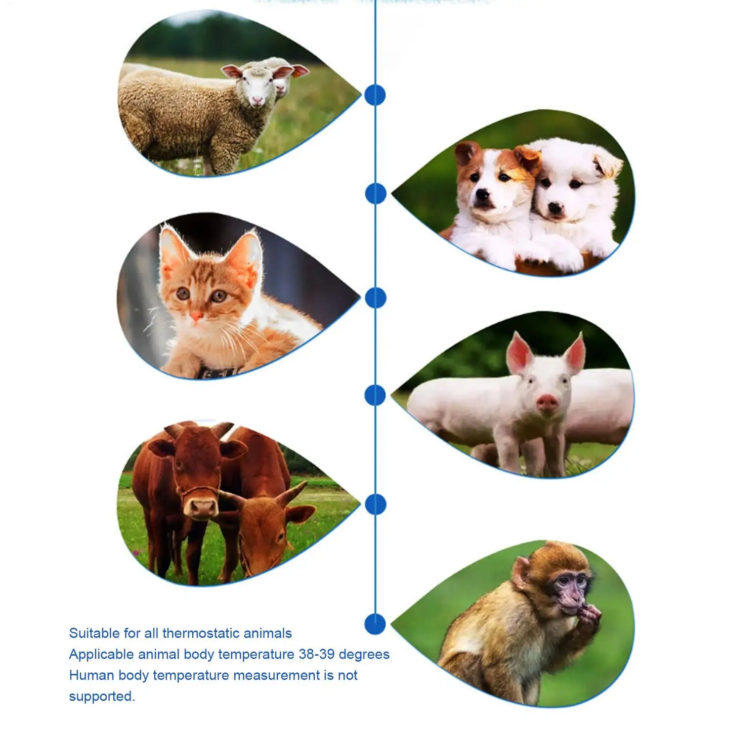Waterproof Pet Thermometers Vet Tech Thermometers Puppy Thermometers Fever Detection Device For Pet High-Precision Accurate Led