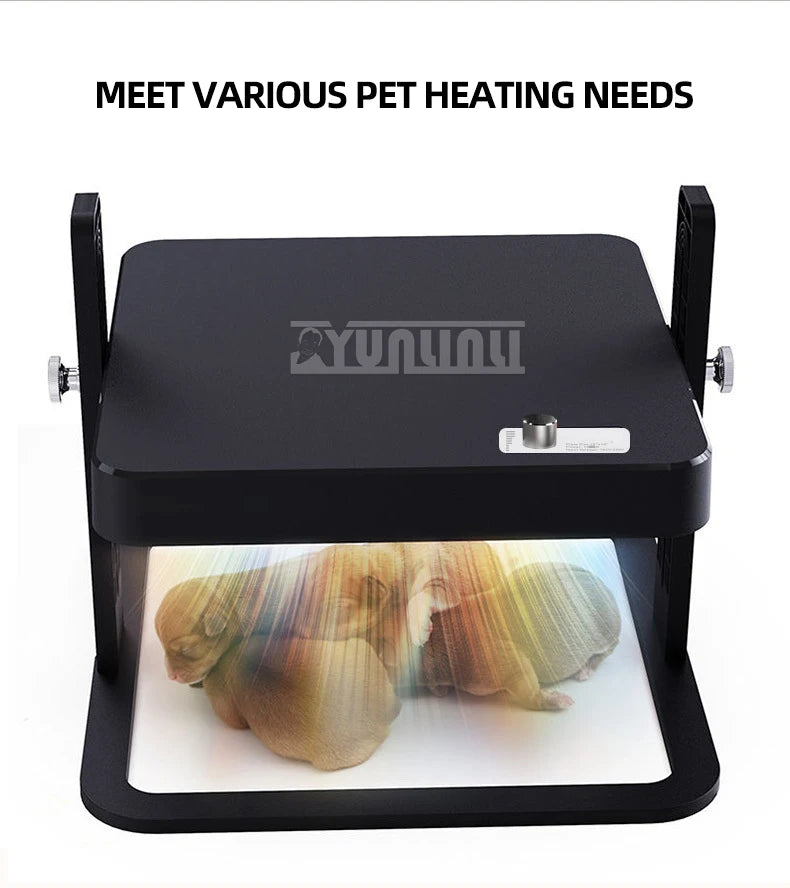 Pet Heating Plate Adjustable Temperature pet heater Design Heater For Chickens Dogs Cats Birds 2025 NEW