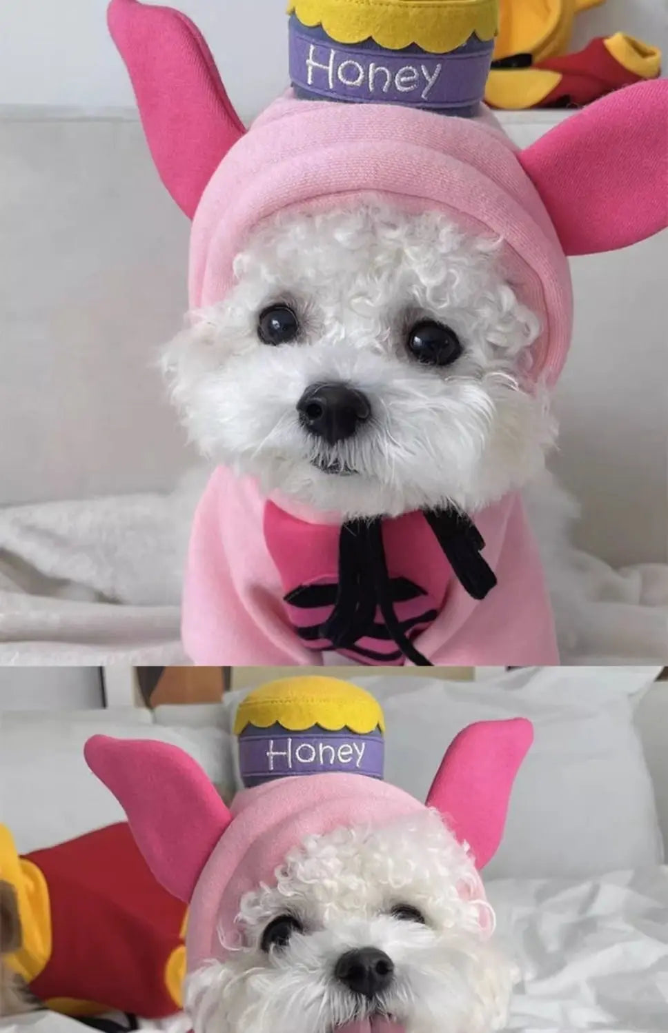 Cute Puppy Dog Clothing Autumn Cat Teddy Bears Pomeranian Schnauzer Small Puppy Pet Sweater