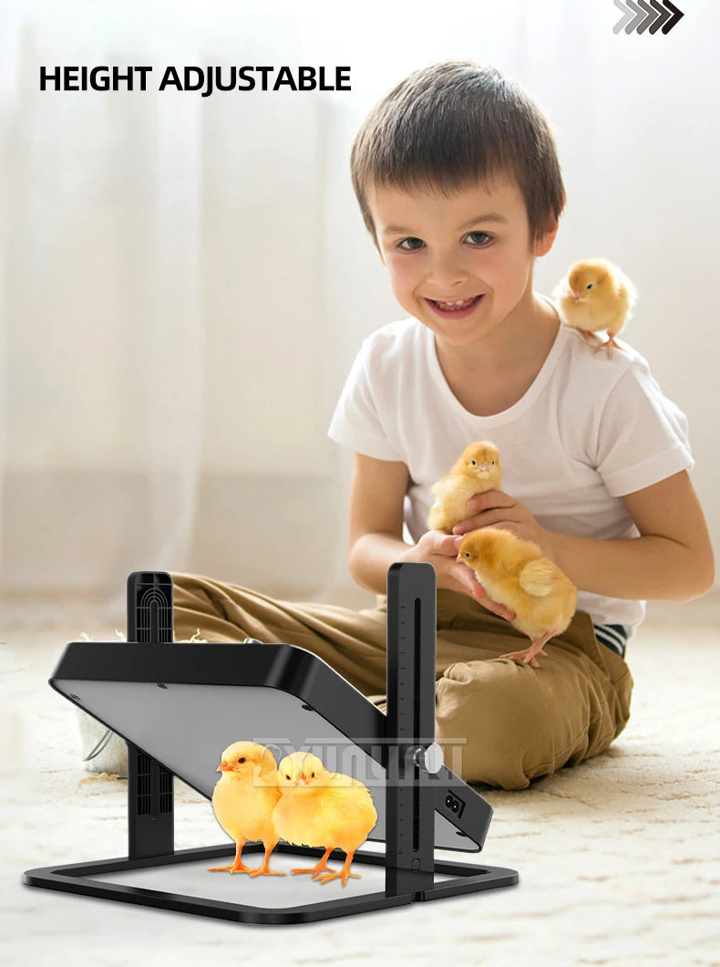 Pet Heating Plate Adjustable Temperature pet heater Design Heater For Chickens Dogs Cats Birds 2025 NEW