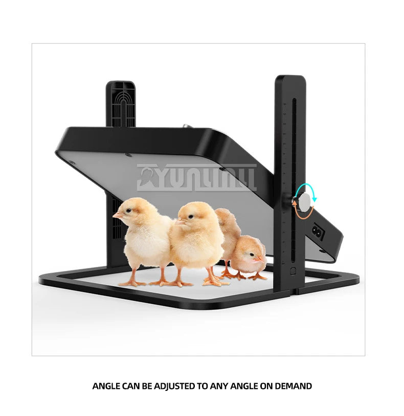 Pet Heating Plate Adjustable Temperature pet heater Design Heater For Chickens Dogs Cats Birds 2025 NEW