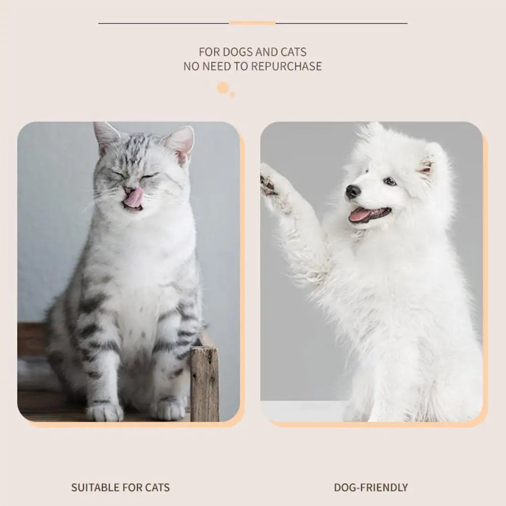 Pet Electric Hair Trimmer Professional Dog Cat Care Supplies Foot Hair Trimming Pet Grooming Hairdresser With Maintenance Oil