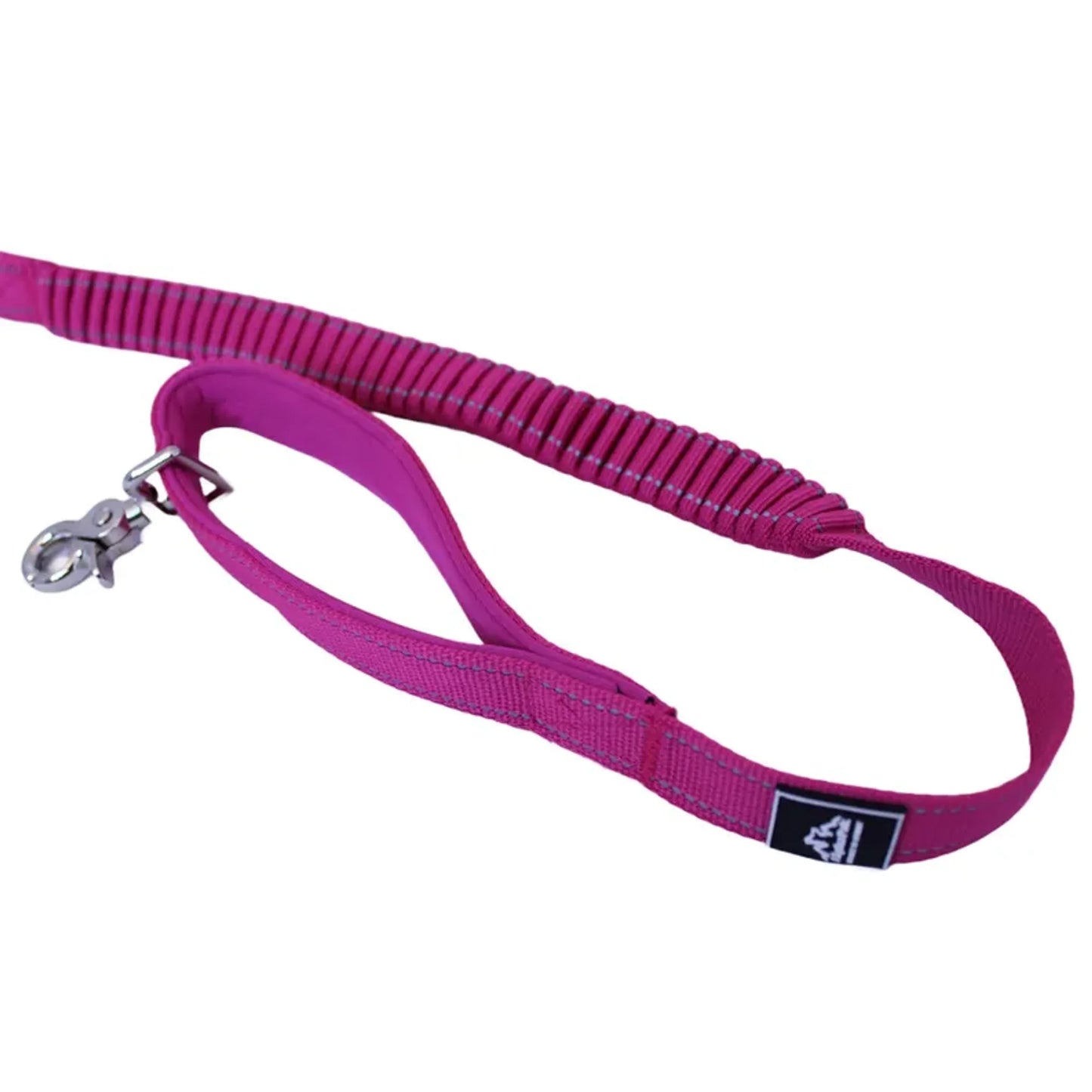 TD Cascades Plum Boysenberry Stretchable Dog Leash for Active Pets