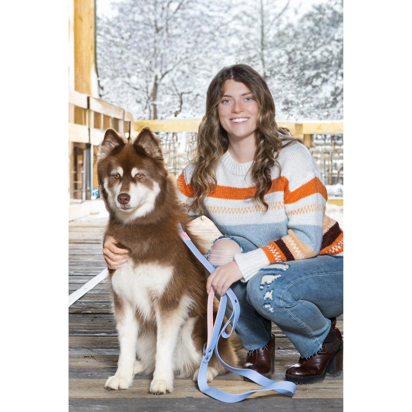 TD Blue Sky Luxury Dog Collar Waterproof Orchid Print Silica Alloy Rubber Soft Padded Lights Personalized Western Style for Pets