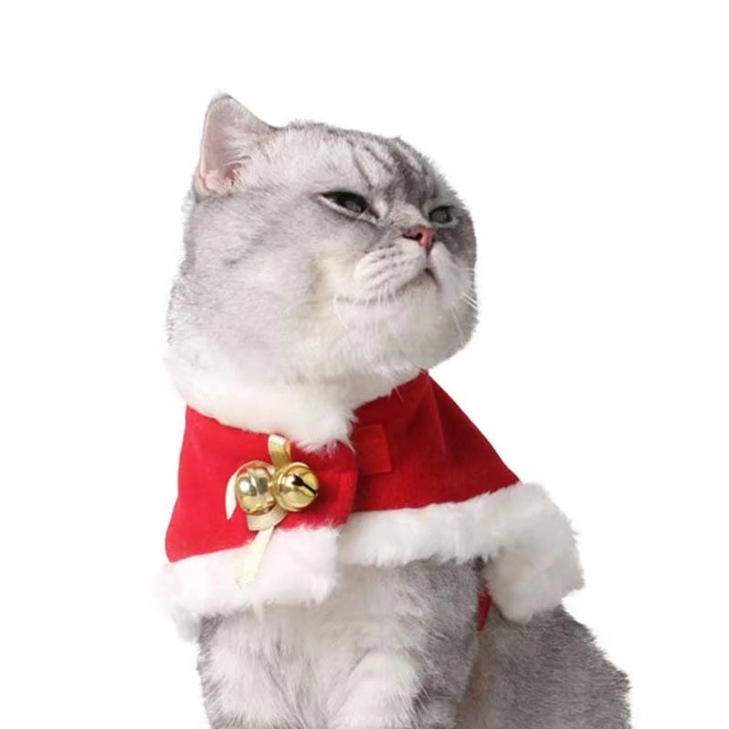 TD Christmas Beautiful Pets Clothing Ornament