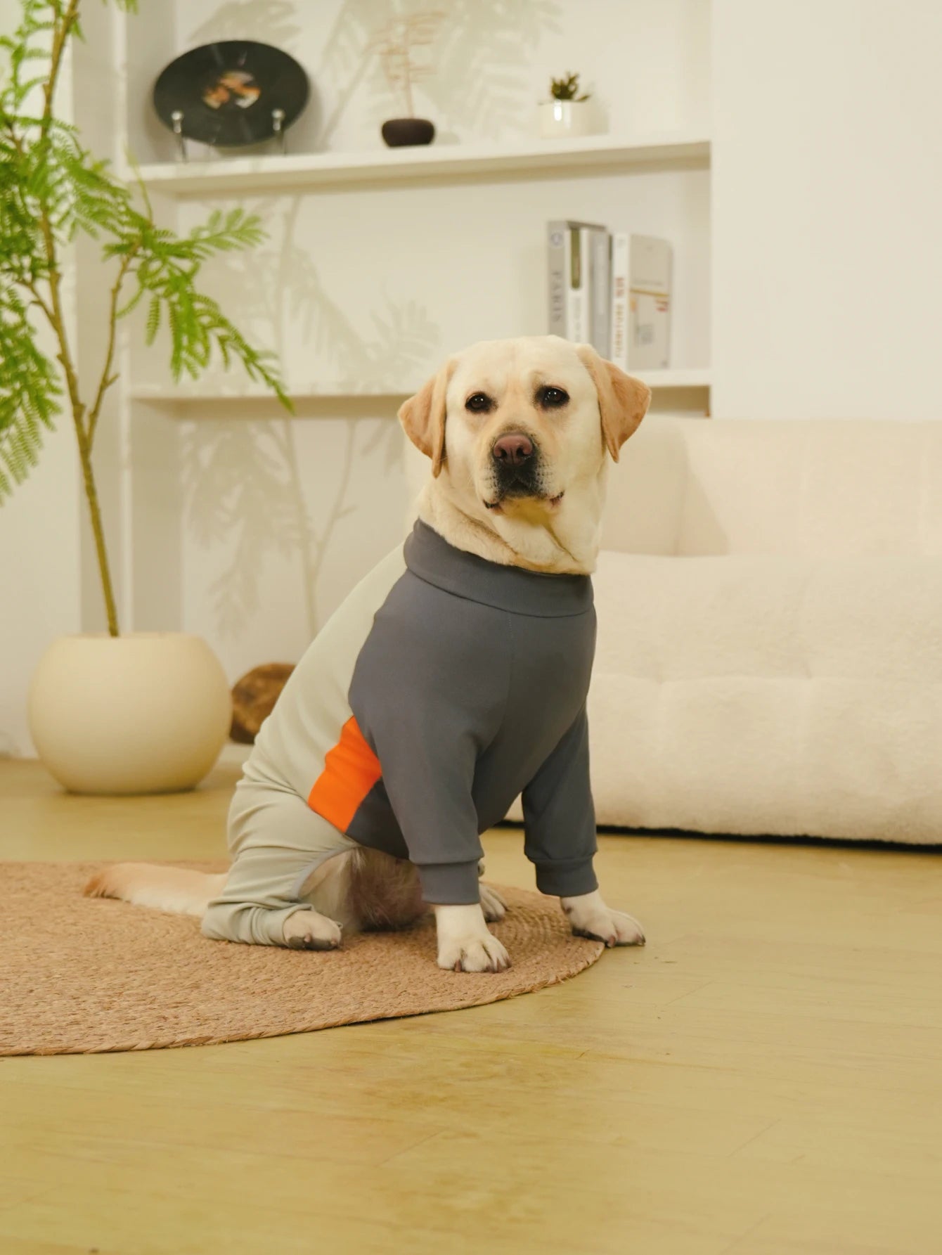 Dog Pajamas Extra-Large Elasticity Long Sleeve Anti-Shedding Dog Onesie Post Surgery Recovery Dog Clothes for Pets