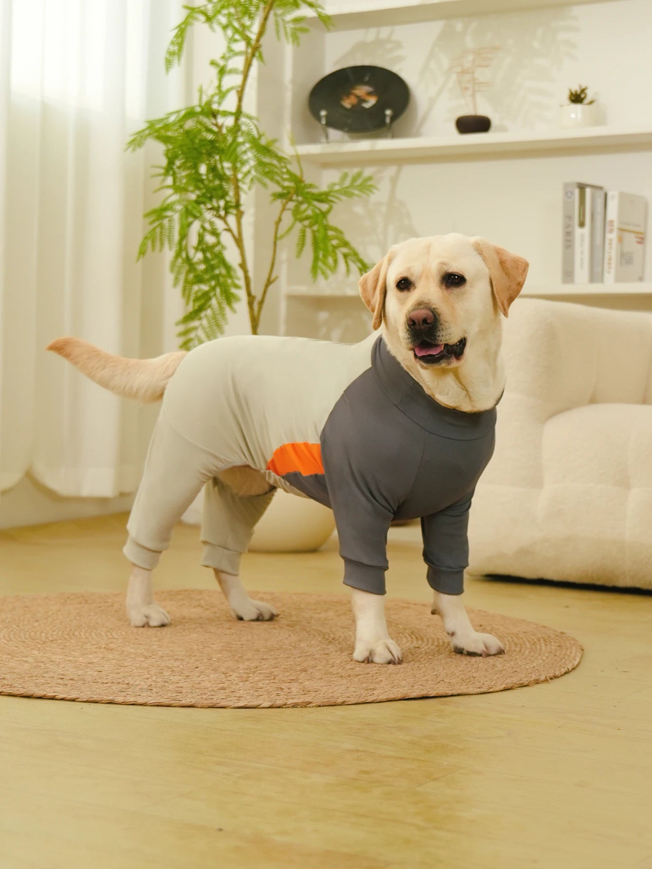 Dog Pajamas Extra-Large Elasticity Long Sleeve Anti-Shedding Dog Onesie Post Surgery Recovery Dog Clothes for Pets