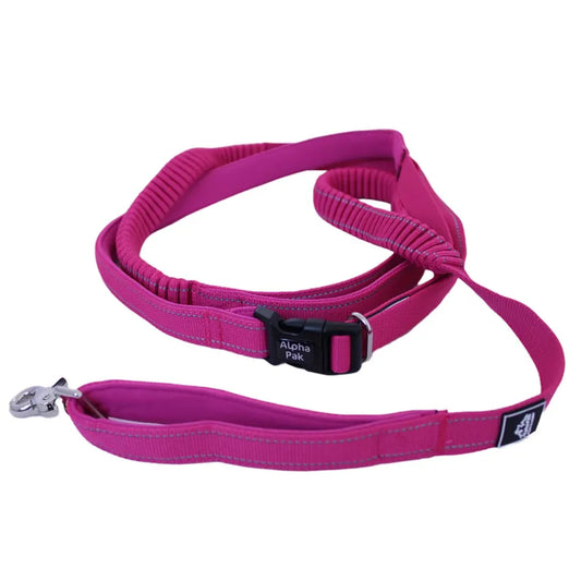 TD Cascades Plum Boysenberry Stretchable Dog Leash for Active Pets