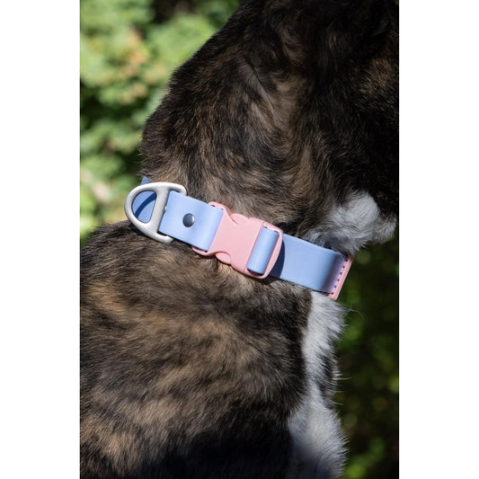 TD Blue Sky Luxury Dog Collar Waterproof Orchid Print Silica Alloy Rubber Soft Padded Lights Personalized Western Style for Pets