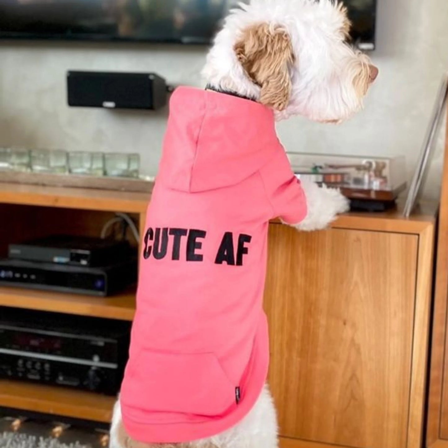 TD Cute AF Everyday Hoodie for Pets