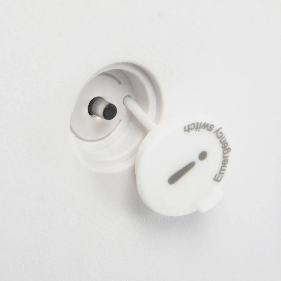 Smart Electric Pet Dryer Box Ultra Quiet Hair Dryer for Cat Puppy Remote Control 2 Drying Modes Temperature and Wind Speed Cont