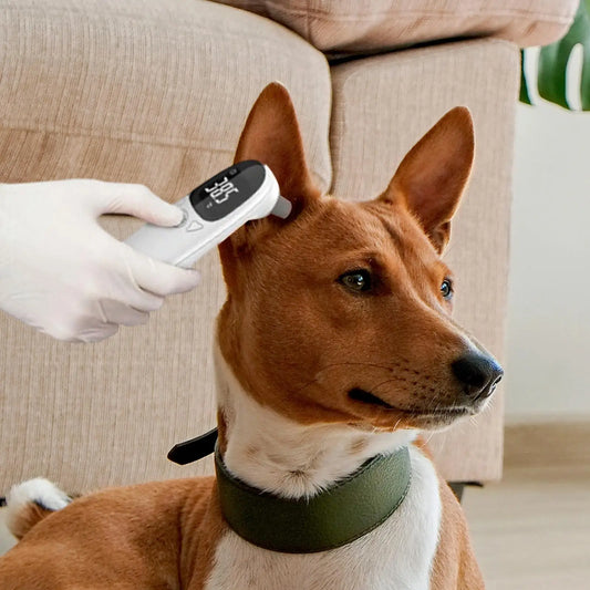 Waterproof Pet Thermometers Vet Tech Thermometers Puppy Thermometers Fever Detection Device For Pet High-Precision Accurate Led